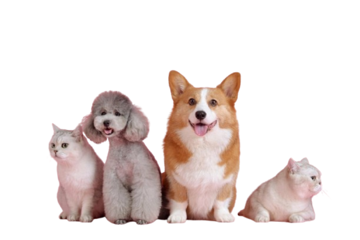 Imagen del beneficio