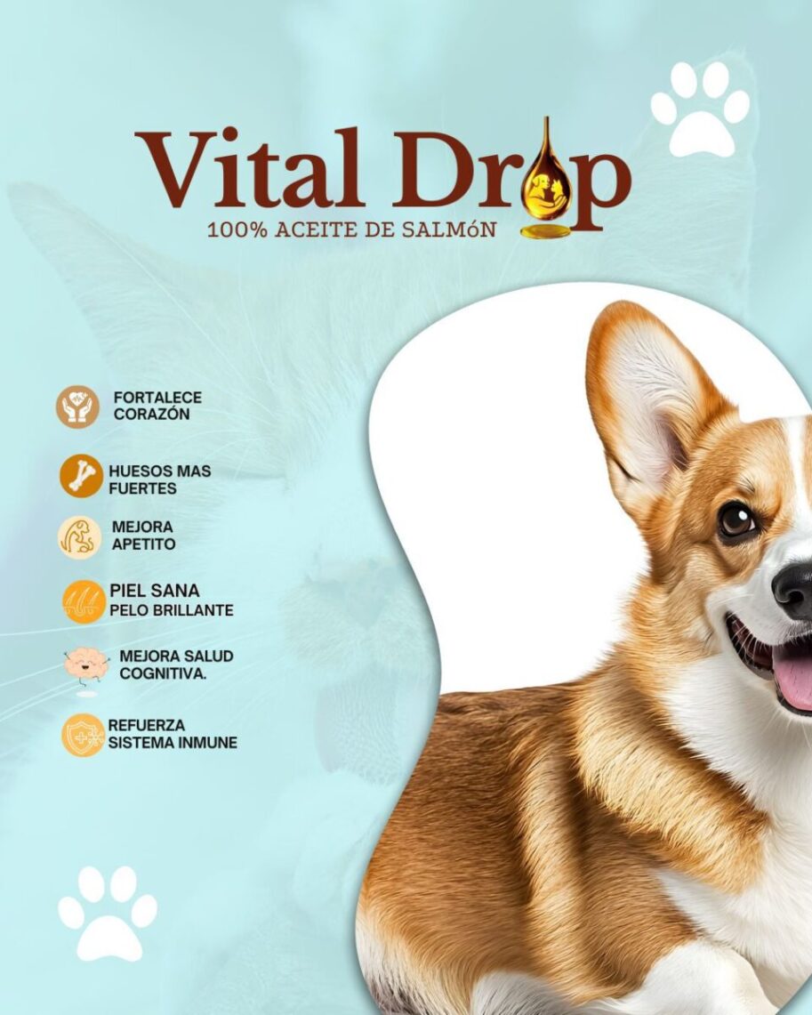 Imagen del beneficio